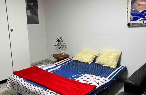 Muttenz Apartment | Basel - 5 mins away - Modern Basement Studio with Kitchen 35m2 in Muttenz