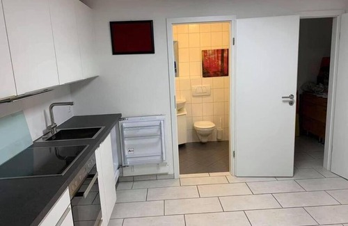 Muttenz Apartment | Basel - 5 mins away - Modern Basement Studio with Kitchen 35m2 in Muttenz