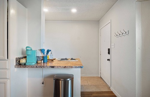 Bastrop Apartment | Bastrop Bungalow: Charming studio with strong WiFi and pine trees galore