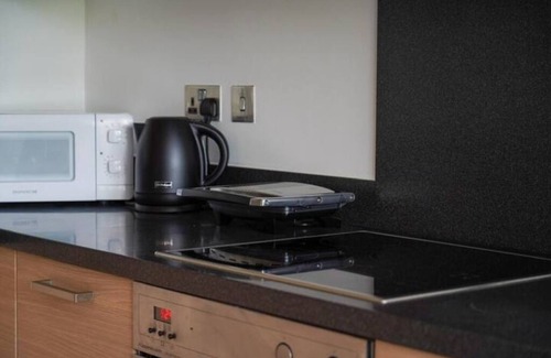 Churchill Apartment | Battersea Park View - Luxury Modern Apartment