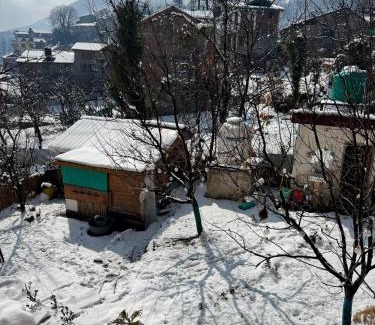 Old Manali Bed & Breakfast | Bayith Cafe and Stay