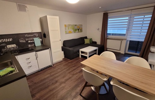 Lam Apartment | BayVista, the Bavarian Forest Lodge: 2-room apartment balcony/mountain view