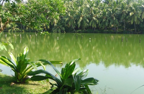 Thiruvananthapuram Apartment | Beach front apartments with stunning views and spacious accommodation