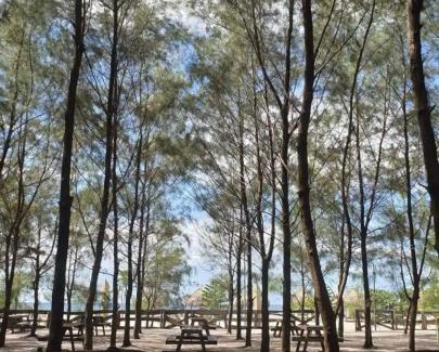 San Narciso Other | Beach front deluxe room with bathroom - Modern Cabin Shiloh 2