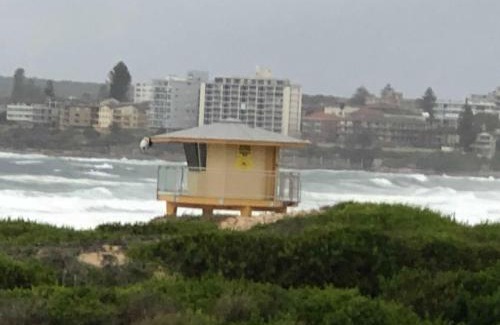 Cronulla Apartment | Beachfront Living Cronulla