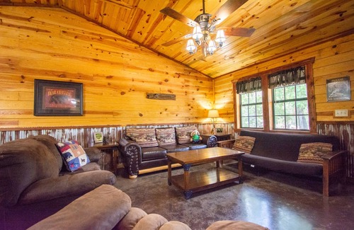 Board Camp Cabin | Bear Den|18Acres|Private Creek|Swim|Hiking|ATV Trails|Mtn Cabin