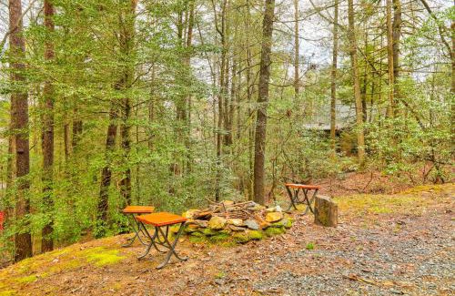 Cashes Valley House | Bear in the Woods