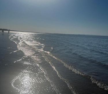 Prestonpans Resort | Bearvan