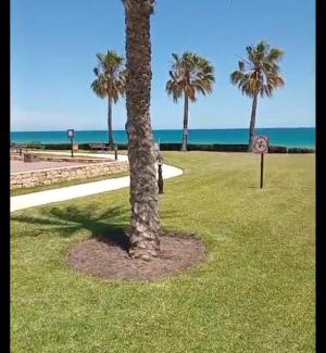 Mallalienne Apartment | Beautiful apartament the beach marina 1