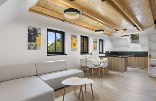 Janov nad Nisou Apartment | Beautiful apartment for 6 guests with WIFI, TV, terrace and parking