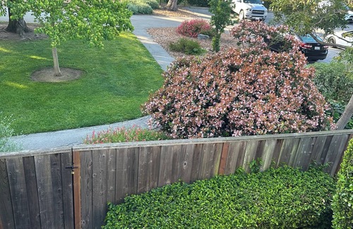 Burlingame House | Beautiful Burlingame cul du sac home borders Washington Park, walk downtown