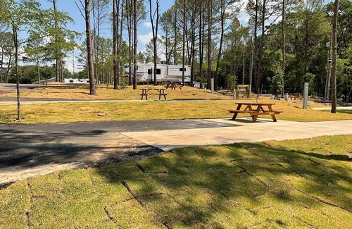Mount Vernon Cabin | Beautiful Cabin Located in the Piney Woods of East Texas - 1 Bedroom/Double Loft