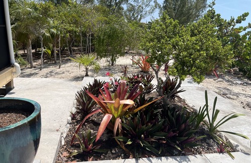 Pigeon Cay House | Beautiful home in Pigeon Cay 100 steps away from the Caribbean!