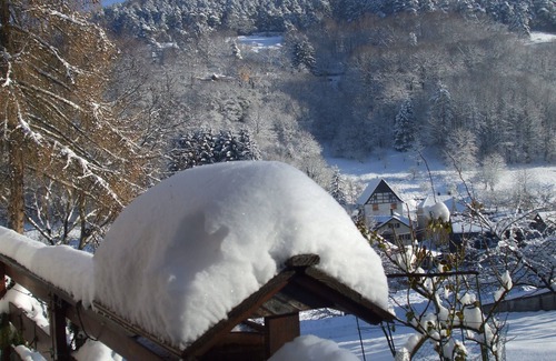 Eschbach-au-Val Apartment | Beautiful house in Alsace (in the Valley of Munster)