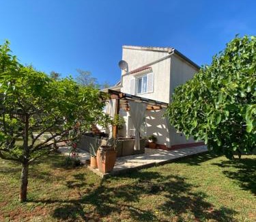Ugljan Apartment | Beautiful island house Ugljan