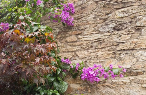 Cabanas House | Beautiful restored two bedroom stone house in As Fragas