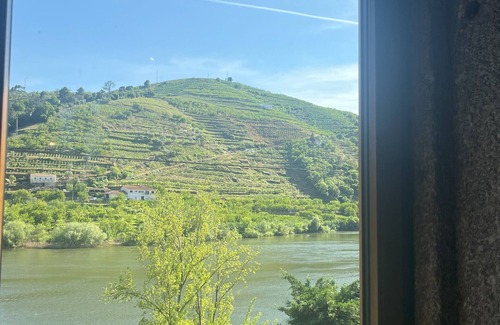 Vila Marim Villa | Beautiful views of the Douro River