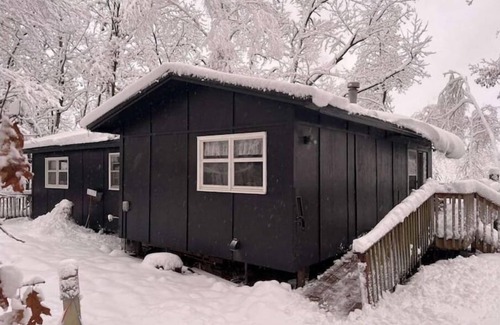 Holcombe Cabin | Beautiful views! Tons of nature!