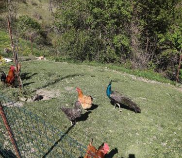 Madonna Dei Fornelli Bed & Breakfast | BeB Le Masere
