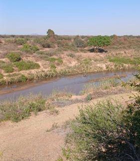 Phalaborwa Bed & Breakfast | Bed and breakfast ∙ 5 guests
