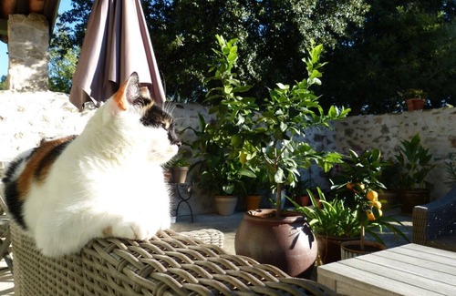 Durban-Corbieres Apartment | Bed & Breakfast South of France