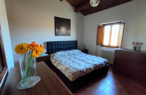 Arcevia Bed & Breakfast | Bed & Breakfast In vino veritas