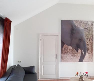 Rhenen Bed & Breakfast | Bed & Breakfast Trouwborst