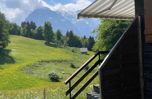Netstal Apartment | Behagliches Chalet mit Kaminofen umgeben von Natur