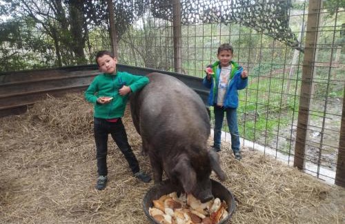 Heers House | Belevingshoeve " de Smishoeve"