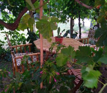 San Giorgio a Liri Apartment | Bella di notte