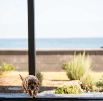 Henley Beach South House | Belle Escapes - Sea Glass Cottage on the Esplanade