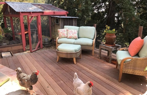 Berkeley Hills House | Berkeley Hills 3bd, 2.5 bath home: Bay views, charm meets nature and luxury