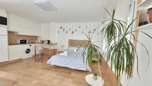 Santiago de Compostela Apartment | Besbello Suites - Estudio