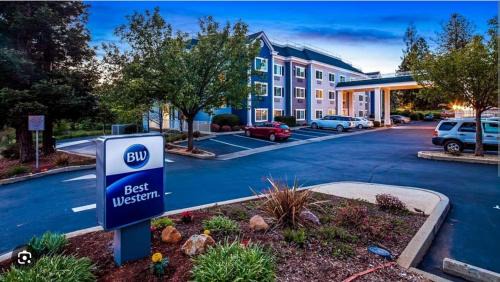 Paradise Hotel | Best Western Paradise Hotel