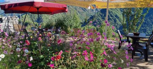 Lalkhori House | Betegi Guest House