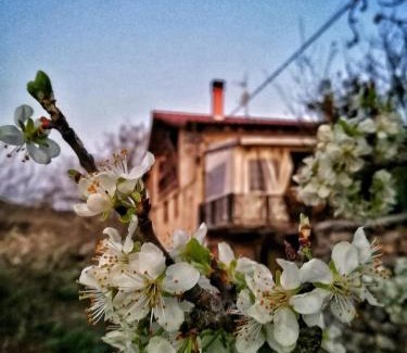 Cigoitia House | BIDEARTEAN, Caserío vasco, Recién reformado