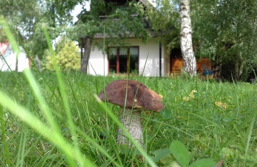 Rabe House | Bies Czadowy Zakątek