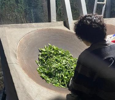 Vi Xuyen House | Bikki's jungle homestay