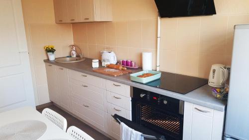 Jelgava Apartment | Birch view apartment