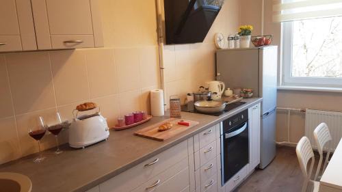 Jelgava Apartment | Birch view apartment