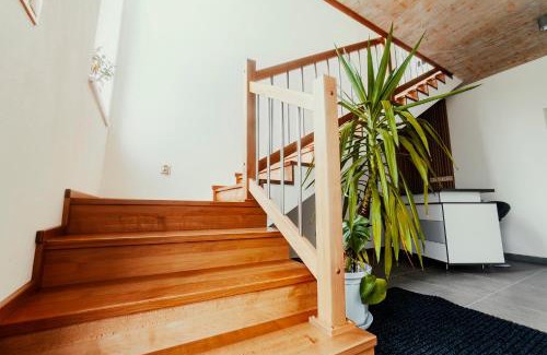Presov House | BIRD HOUSE