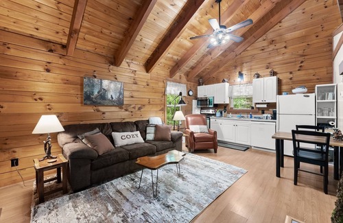 Sautee Nacoochee Cabin | Bird Song Cabin: Cozy 1-bedroom cabin with WiFi, AC in charming Saute-Nacoochee