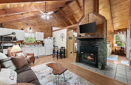 Sautee Nacoochee Cabin | Bird Song Cabin: Cozy 1-bedroom cabin with WiFi, AC in charming Saute-Nacoochee