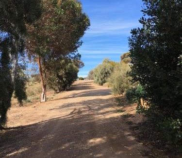 Orroroo House | Black Jack Get-A-Way "Magpies Nest"
