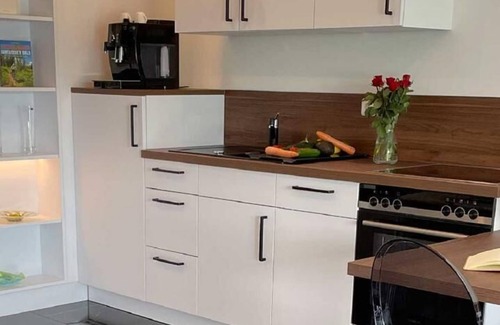 Gotteszell Apartment | Black&White luxury apartment with sauna and sunny terrace