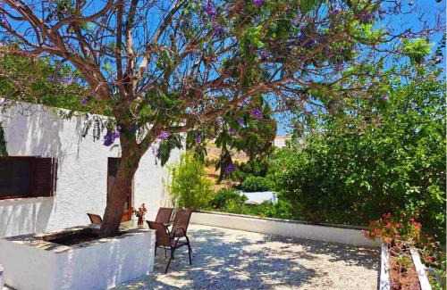 Alinda House | Blue Acacia in Alinda Leros