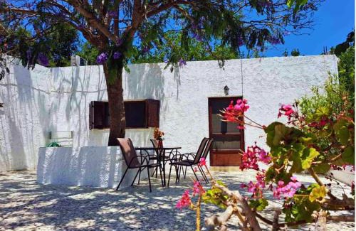 Alinda House | Blue Acacia in Alinda Leros