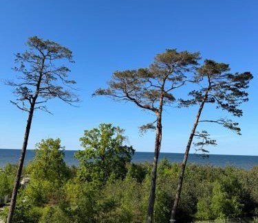 Dziwnowek Apartment | Blue Apartament z widokiem na morze Dziwnówek