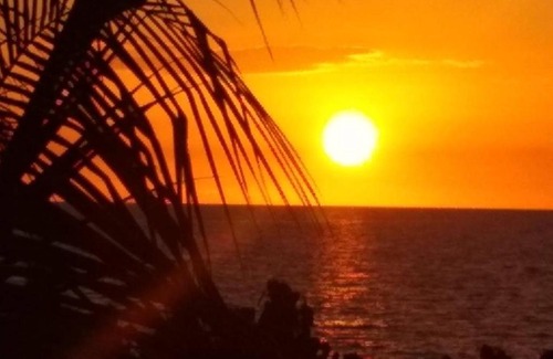 Crane corner House | Blue Dolphin Guest House