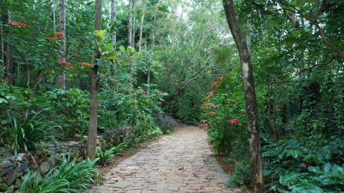 Yercaud Resort | Blue Valley Estate-12 Acre Forest-Silver Oak-Villa